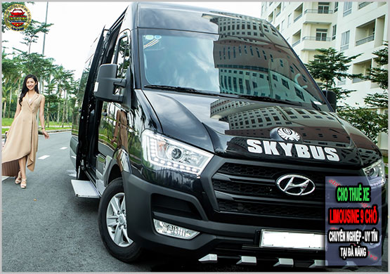 Limousine 9-16 Seats