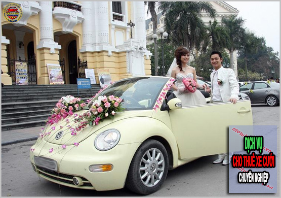 Cho thuê xe hoa giá rẻ tại Đà Nẵng