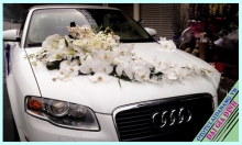 How much does a flower car rental cost in Da Nang?